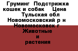 Груминг. Подстрижка кошек и собак. › Цена ­ 500 - Тульская обл., Новомосковский р-н, Новомосковск г. Животные и растения » Услуги   . Тульская обл.